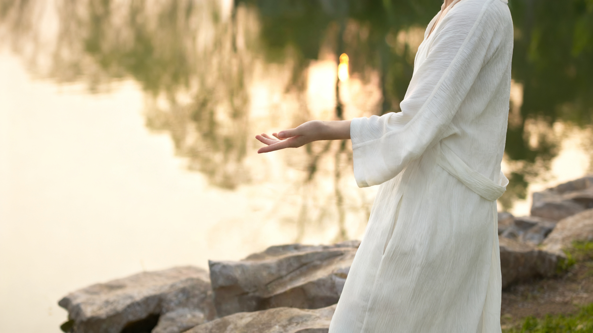 一草一世界：东方植物疗愈的美学密码