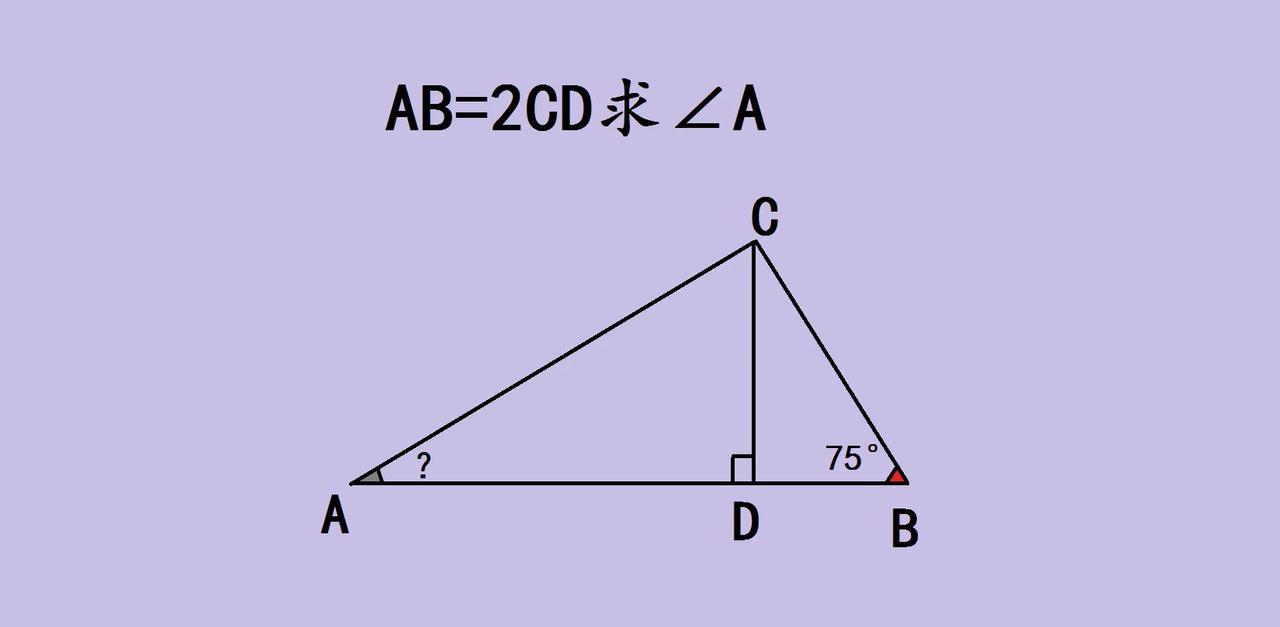 家人们，来看这道有意思的几何题！已知在图中，AB = 2CD ，CD垂直AB，角