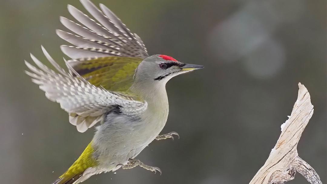 美国成年子女彻底断联的真正原因（有研究为证）