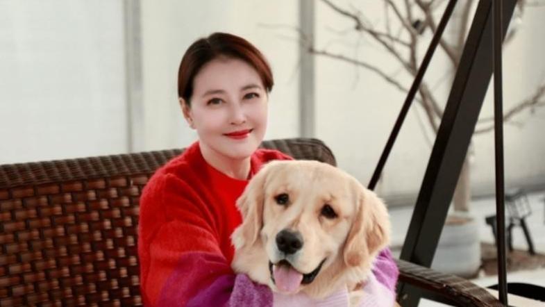 周海媚墓地近况曝光，鲜花玩具摆满墓前，上面一句话令人唏嘘不已