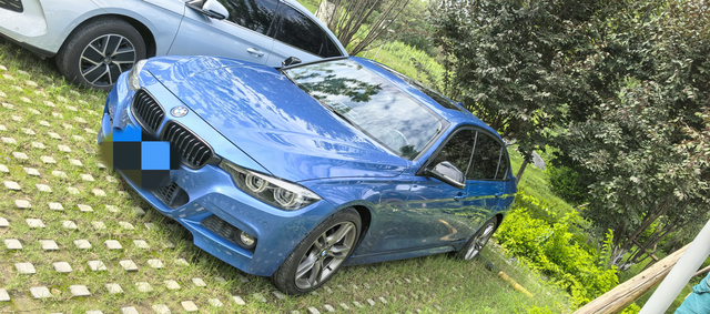 好看的320Li耀夜
360全景不太好用，倒车影像和全景不能自由切换。想换个中控