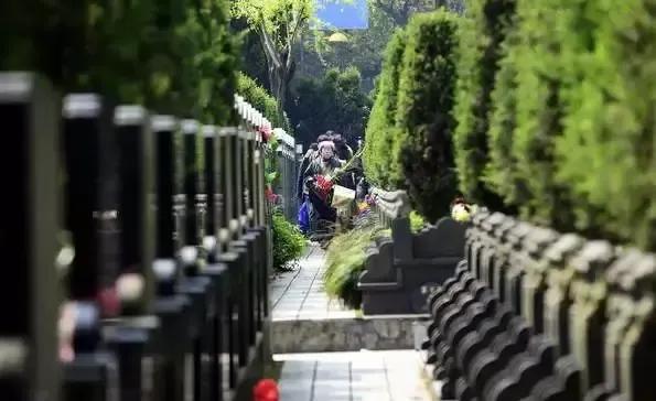 何谓清明，很简单，就两件事。
一边是祭祖扫墓，一边是踏青赏花。
清明，就是简洁明