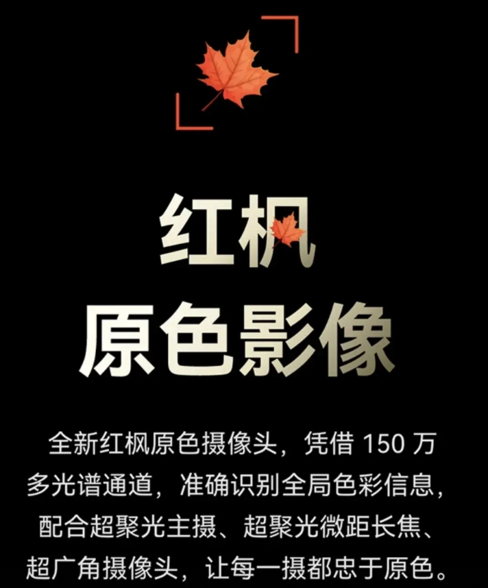 nova13周周都是中国品牌中端机器销量第一，且供货出奇的稳定！这不下个月的No