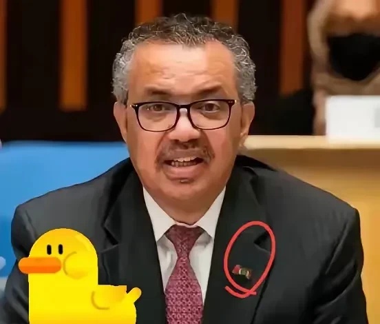 世卫组织现在估计肠子都悔青了！



它后悔的不是又要去调查，也不是会员国会费要