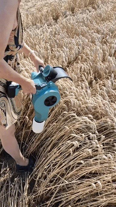 外国人在使用小型手持收麦机器。
网友：洋工还得洋人磨！