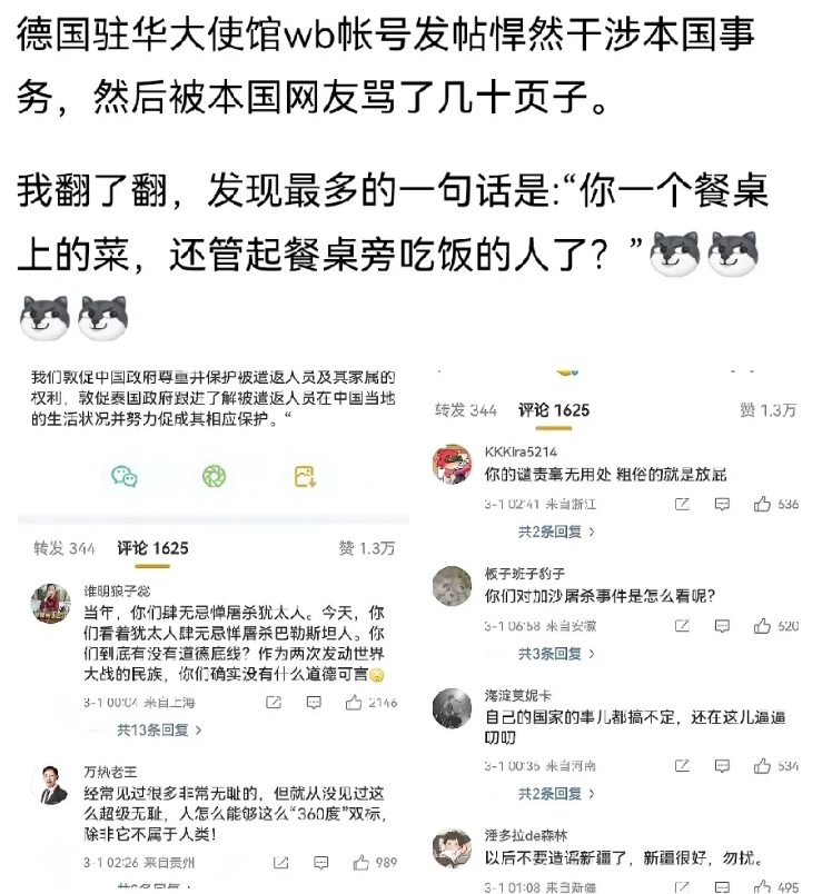 这真是跳梁小丑层出不穷啊，德国驻中国大使馆儿居然又跳出来，发表找抽的言论。
居然
