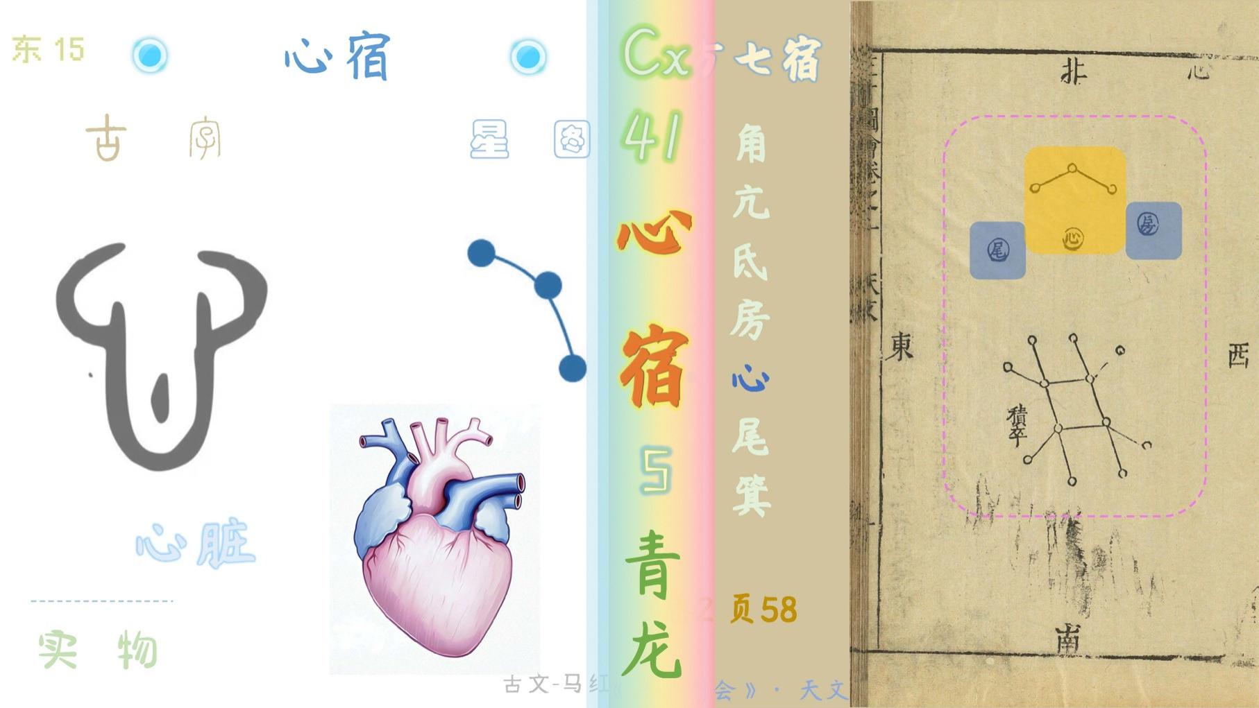 下有积卒共十二，三三相聚心下是——心宿|东方苍龙【元星图】现代天文名称+古天文