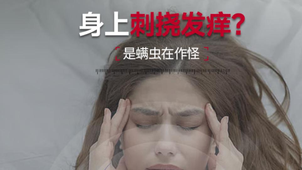 央视公认最好用的除螨仪？2025双十二除螨仪十大品牌推荐！