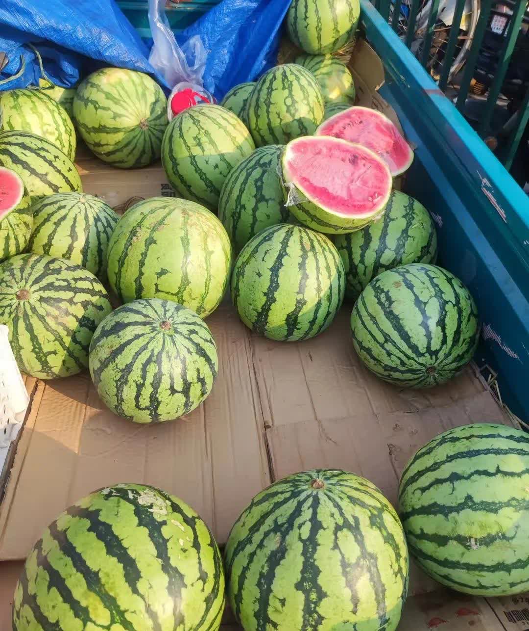 现在这个季节，西瓜占领水果市场半壁江山。价钱便宜且个个透心甜。这一段就没有买过不