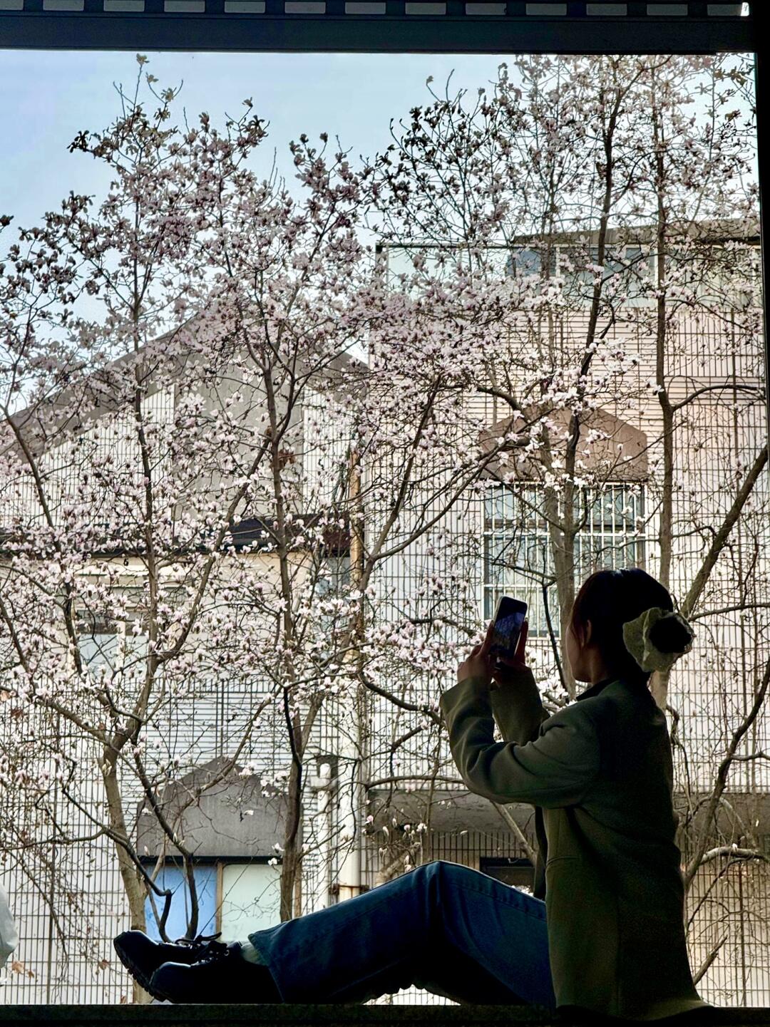 南京最美地铁站！！玉兰花已开