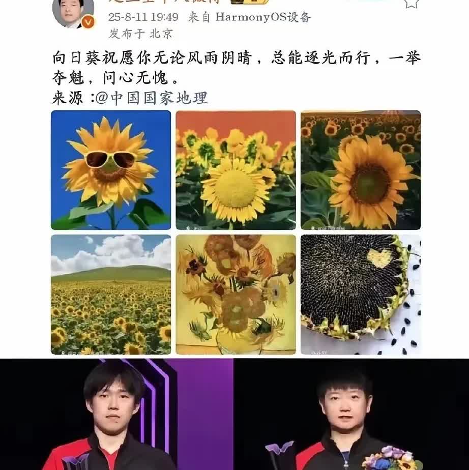 外交官对莎头的鼓励智慧又温暖

果然还是要好好读书的
看我们外交官的鼓励都
