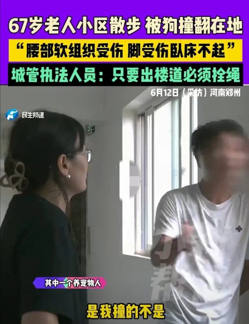 河南郑州，67岁的老人，在自家楼下正常散步，两只没栓绳的狗子，在后面跑过来撞上老
