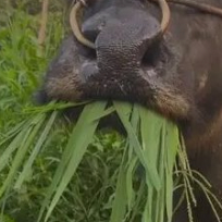 射出的箭