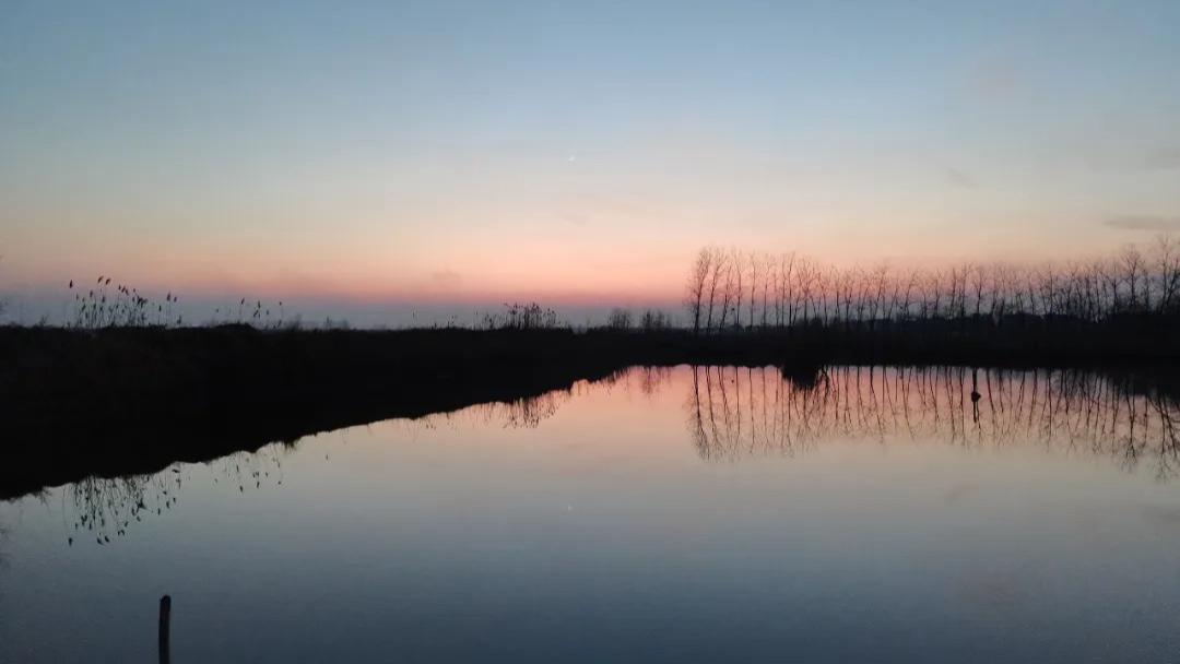 《金瓶梅》写得怎么样？