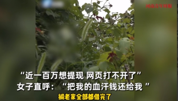 “防不胜防！”2025年6月，河南郑州，一位宝妈在网上认识了一位男子，因为她离婚