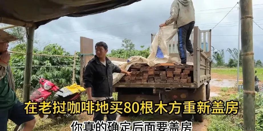 阿彪自建的树屋封顶了！就是盖得太小，房顶还用铁皮瓦，看着有点草草了事[泪奔]。