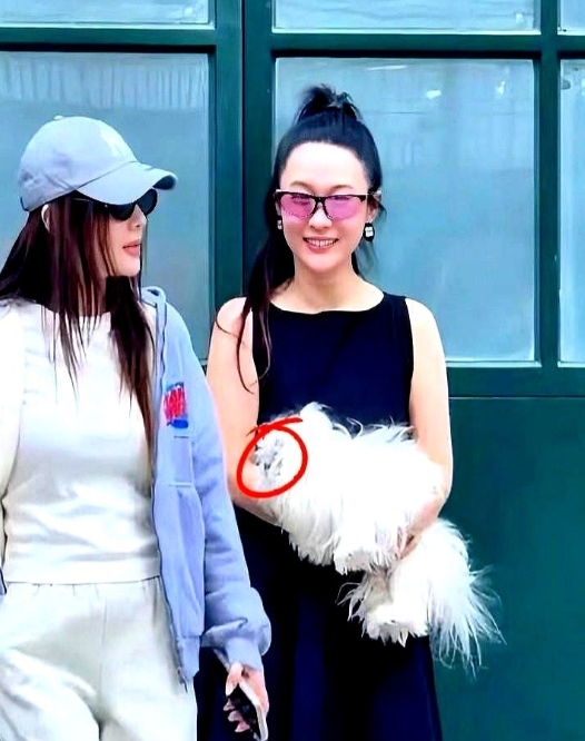 终于知道霍思燕为什么不出来拍戏了
说到这个转型啊有时候真得豁得出去 你看现在多少