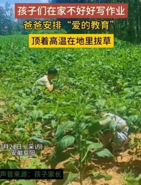 “这下后悔了吧！”安徽阜阳，一男子因孩子在家不好好写作业，将其带到田里薅草，不料