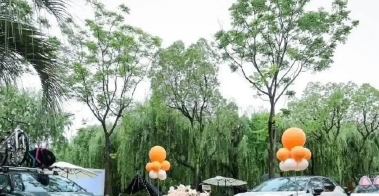 一觉醒来发现，欧盟对中国电动汽车征收关税又有新动作！
特斯拉中国：从9％下调到