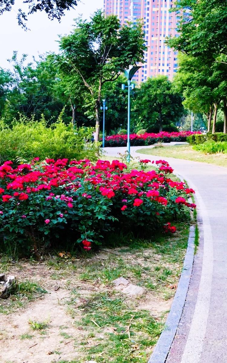         今天晨练，心情格外舒畅。出门时，清新空气扑面而来，深吸一口，浑身