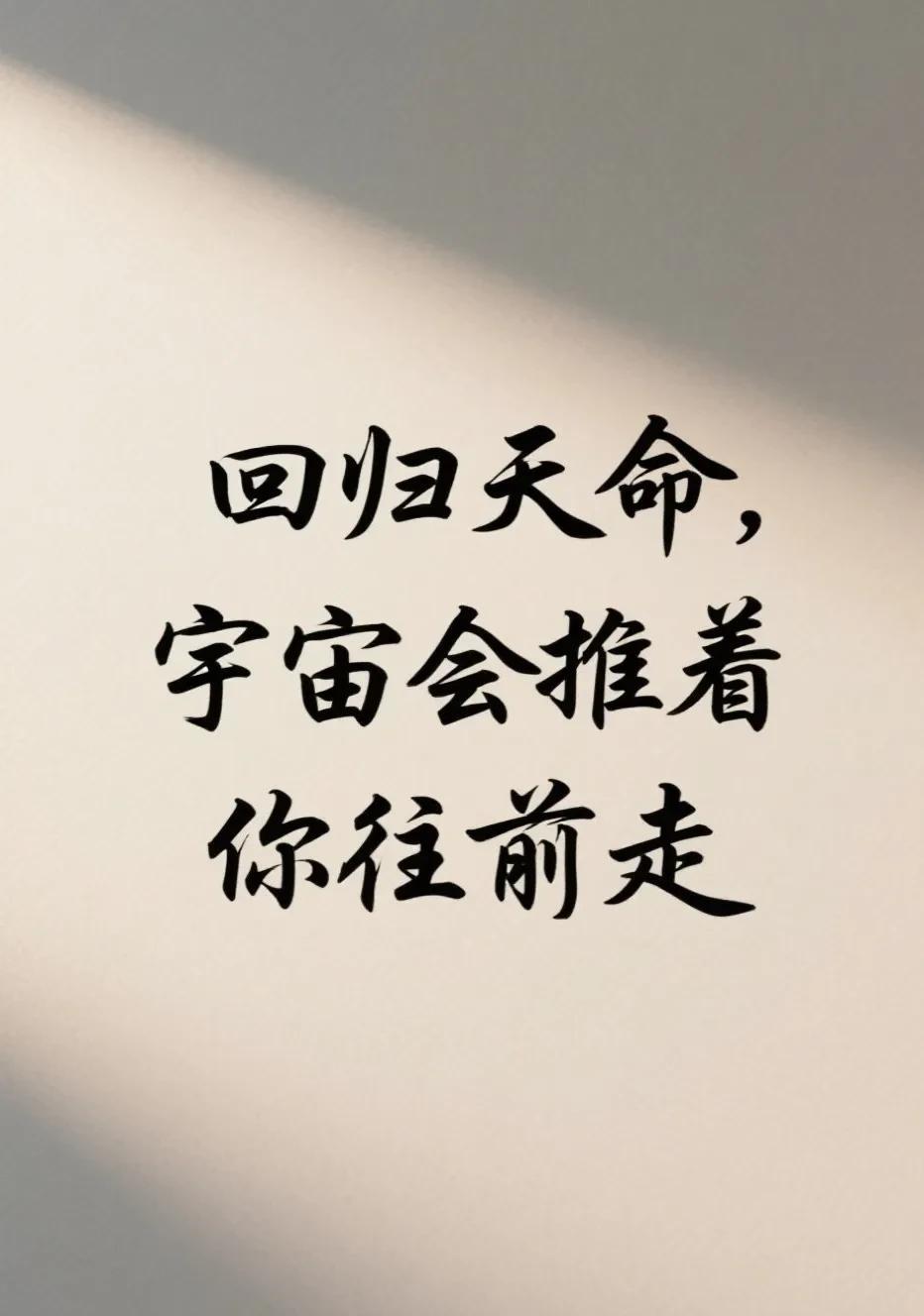 当你回归天命，宇宙会推着你走
老子说：“人法地，地法天，天法道，道法自然。”生命