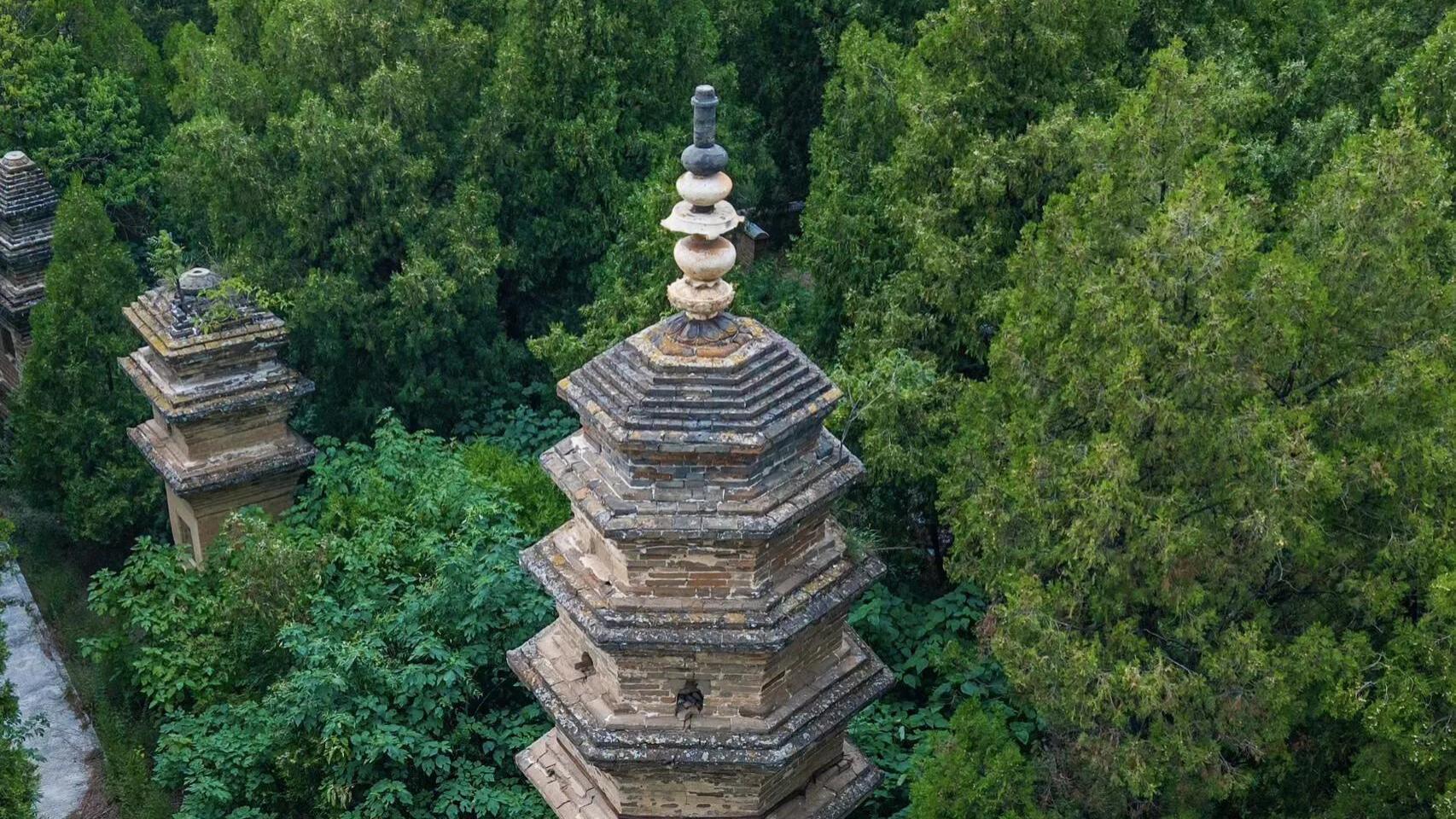 99%河南人都没听过的千年古刹，与少林寺齐名，却比少林寺纯粹！