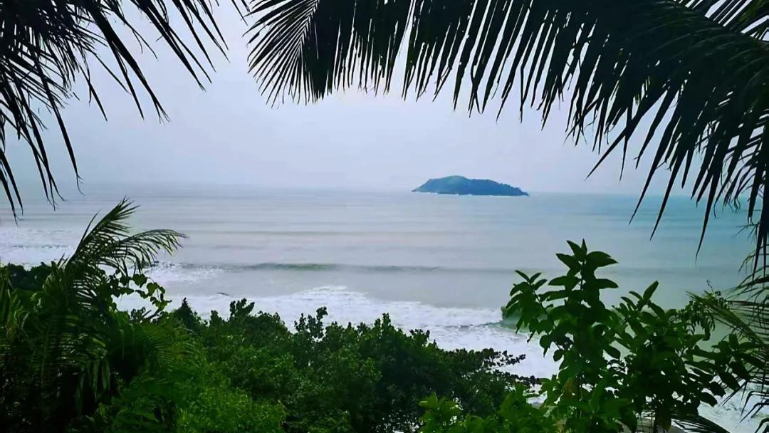 “说得、做得”与“说不得、做不得”（杨德振）