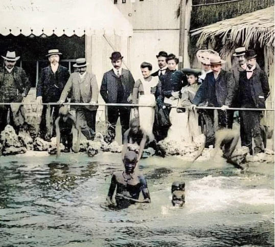 1905年巴黎的“人类动物园”，展示白人之外不同的人种，供当地人参观。 ​​​1