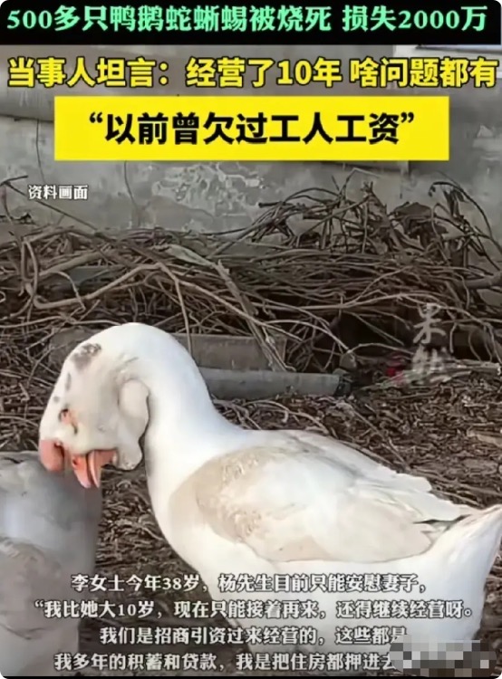 养殖场失火真相来了？场主一句话引爆舆论！3月24日凌晨，法库县一养殖厂突发大火损