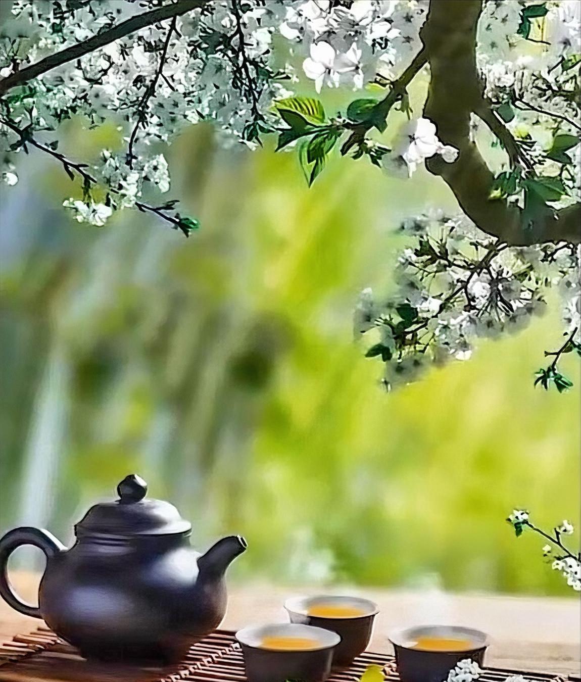 有段话是这么说的：“一个人最大的愚蠢，和酒肉朋友混在一起，透支身体；和太闲的人走