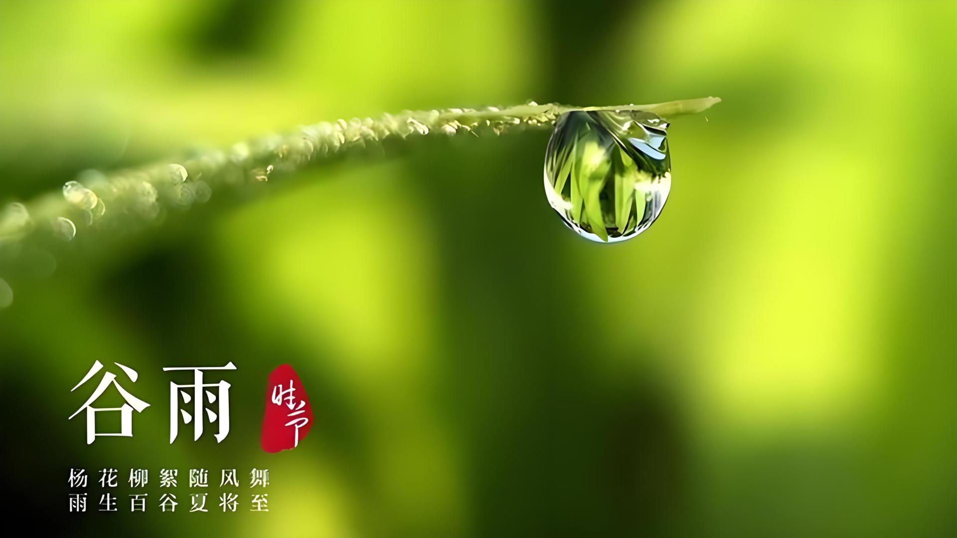 谷雨至，春将逝夏欲来