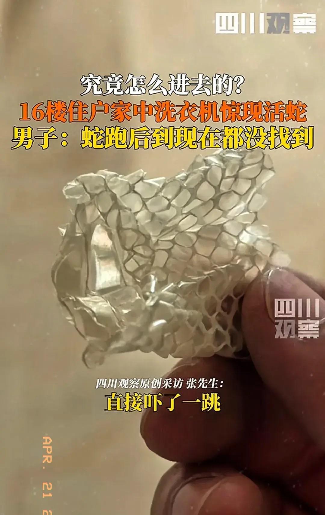 4月19日，一老人用洗衣机洗衣服，不料，洗完后，却发现被子里有动静，她小心拿起被