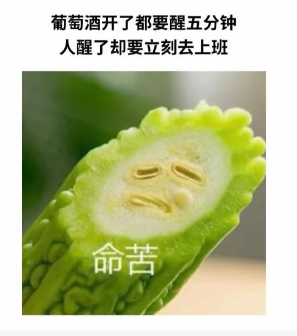 又迟到了，嘿嘿