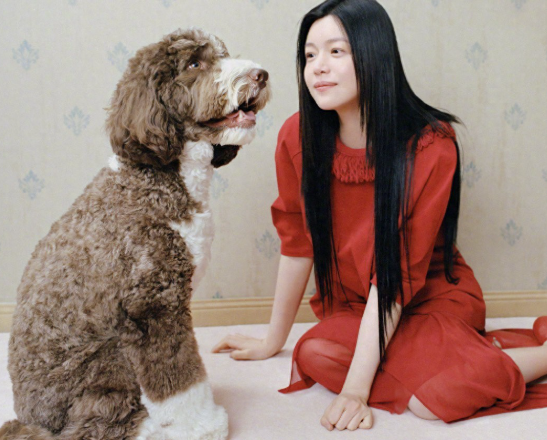 陈妍希的最新浪漫式杂志大片来袭，和狗狗合影笑容好甜！