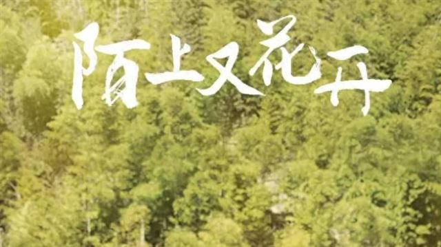 样貌平平，却总演央视大剧，还能搭档李幼斌，马藜到底什么来头？