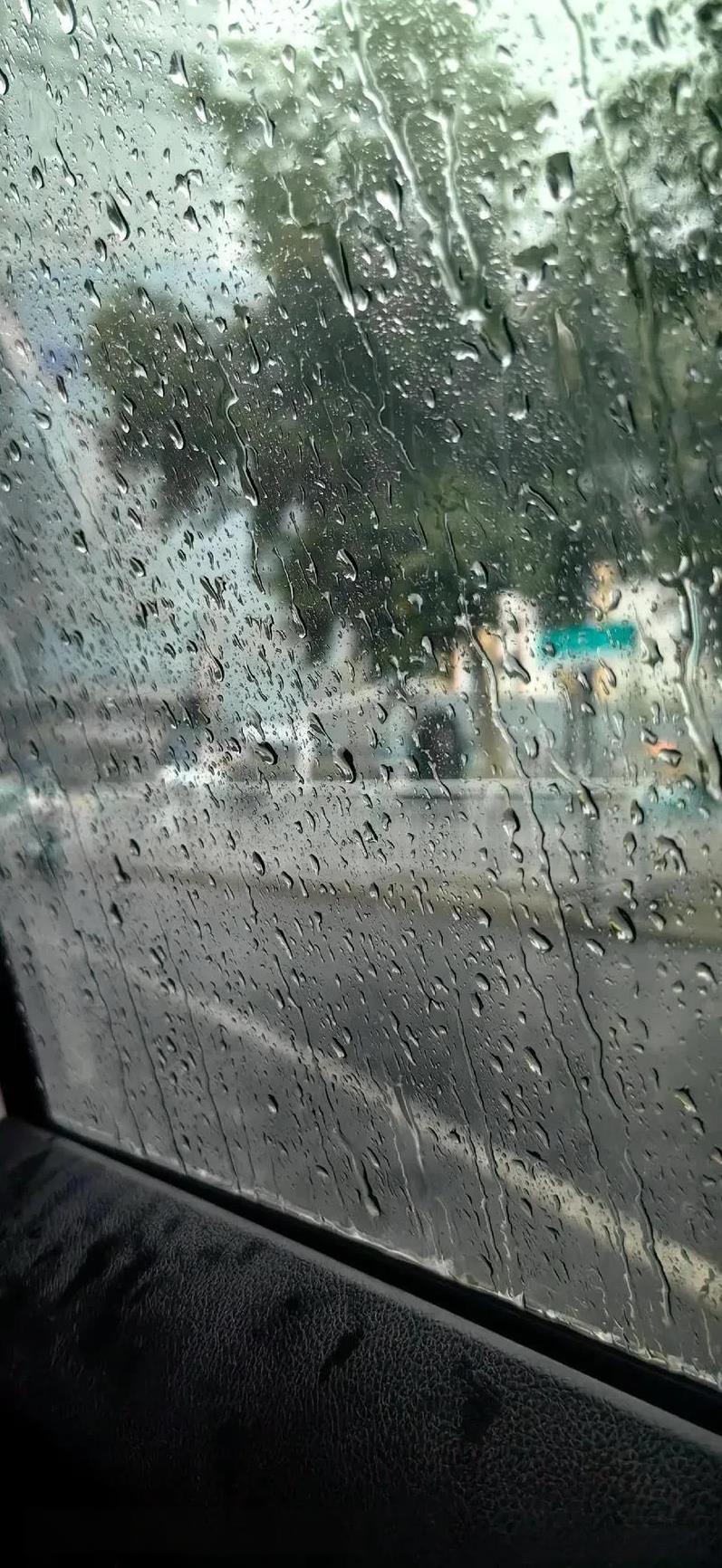 我们的地方什么方向的云才会下大雨？
作为我们的地方，如果是西北方和东北方就是乌云