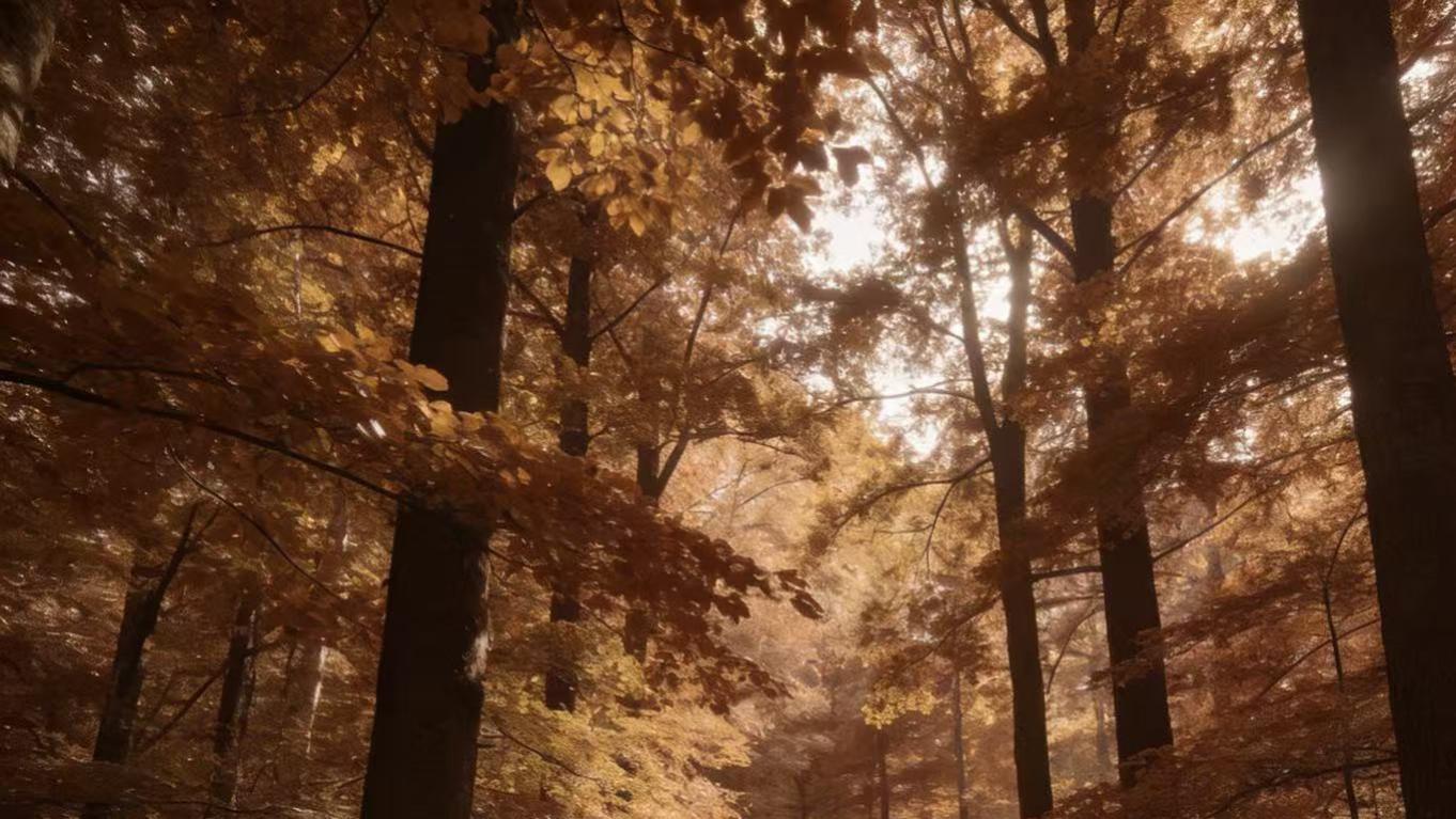 369万专项款拖欠近四年！杞县农田项目“履约即拖欠”，国家专项资金去哪儿了？