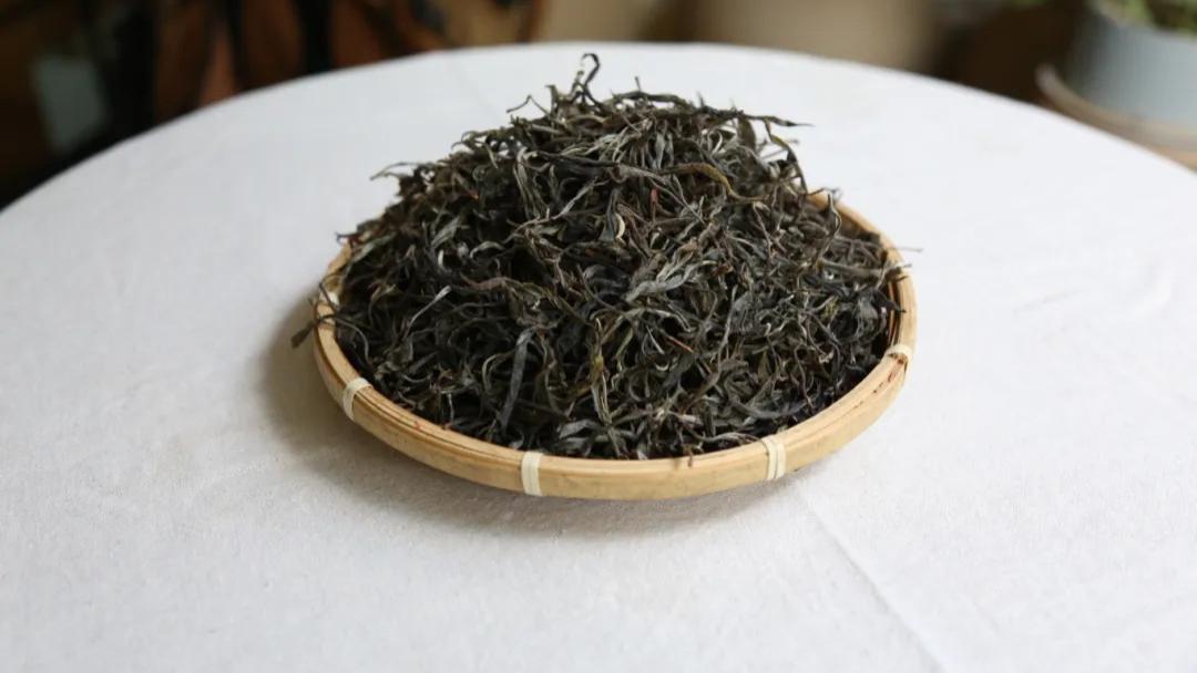 【新茶推荐】第20款：2025年头春——易武莽枝中树