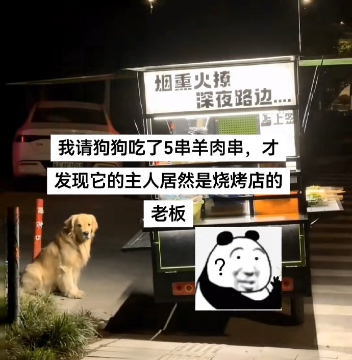 狗狗：我可没犯错