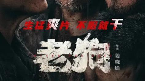 2025电影《老狗》全集高清免费在线观看_《老狗2025》高清完整版在线观看 剧情片- VS影院_电