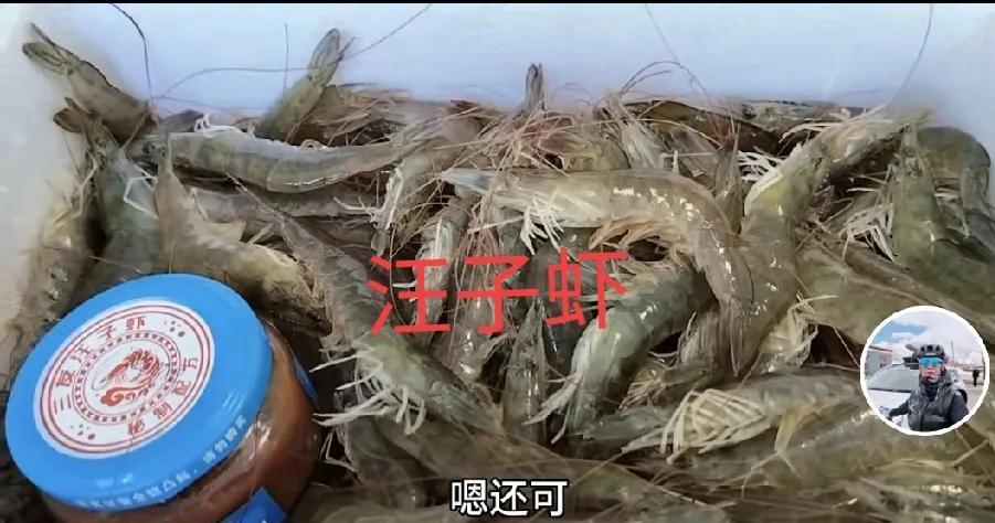 天津老两口，网购了15斤大虾，有旺仔虾5斤，买回来还活着呢，还买了10斤，剥虾仁