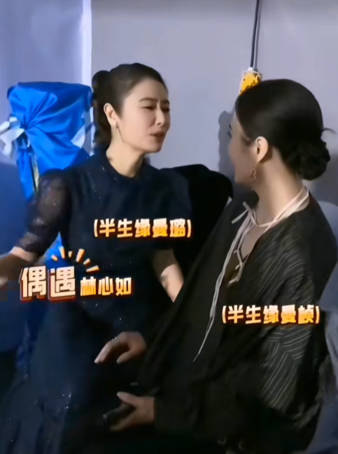 两姐妹又重逢了，顾曼露，顾曼桢，两大美女容颜依旧，还是那么漂亮，保养的也很好