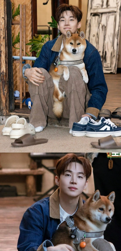 别人上综艺换造型，Henry上综艺“焊死”拖鞋。这双被粉丝逮住无数次、疑似“救过