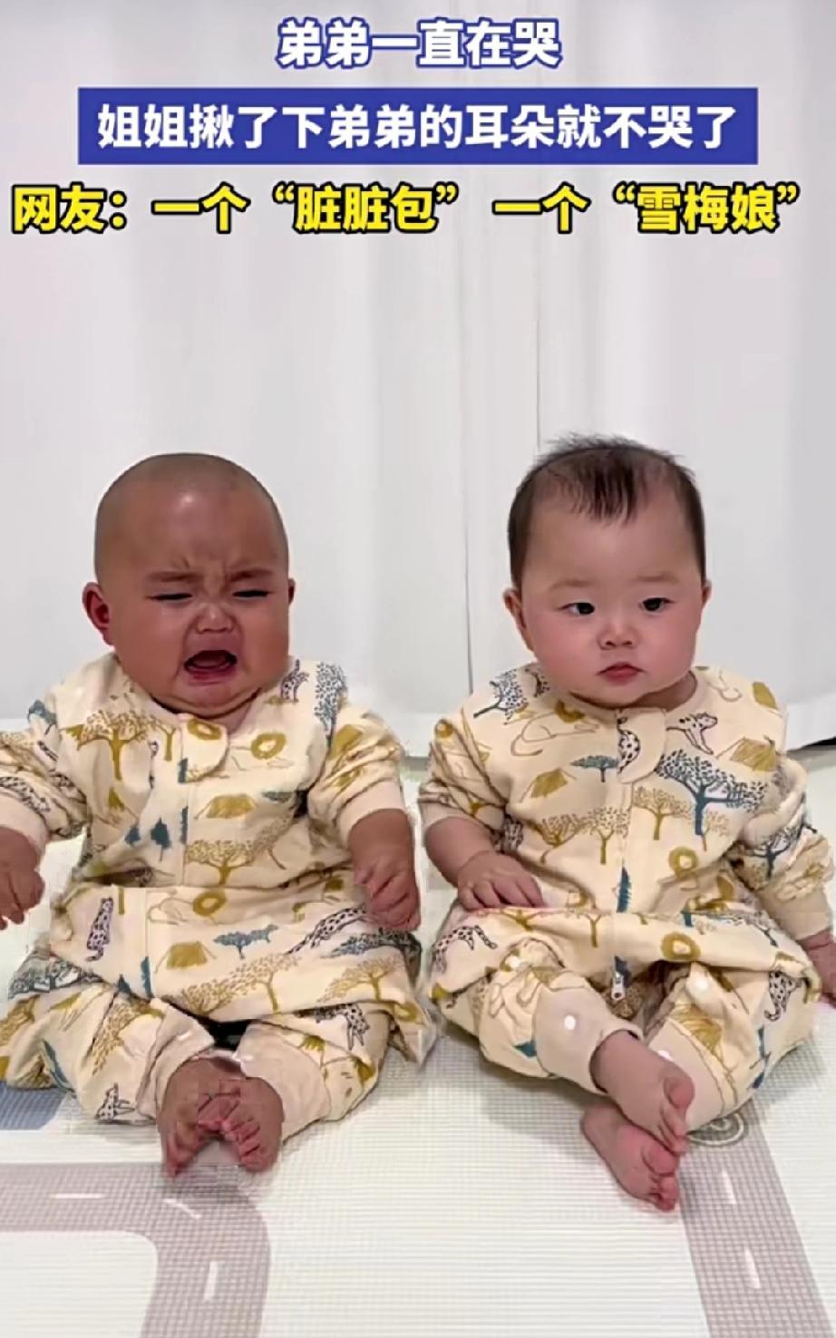 两个双胞胎，当弟弟哭闹不停时，没想到姐姐听不下去了，竟伸出小手轻轻的拧了拧他的耳