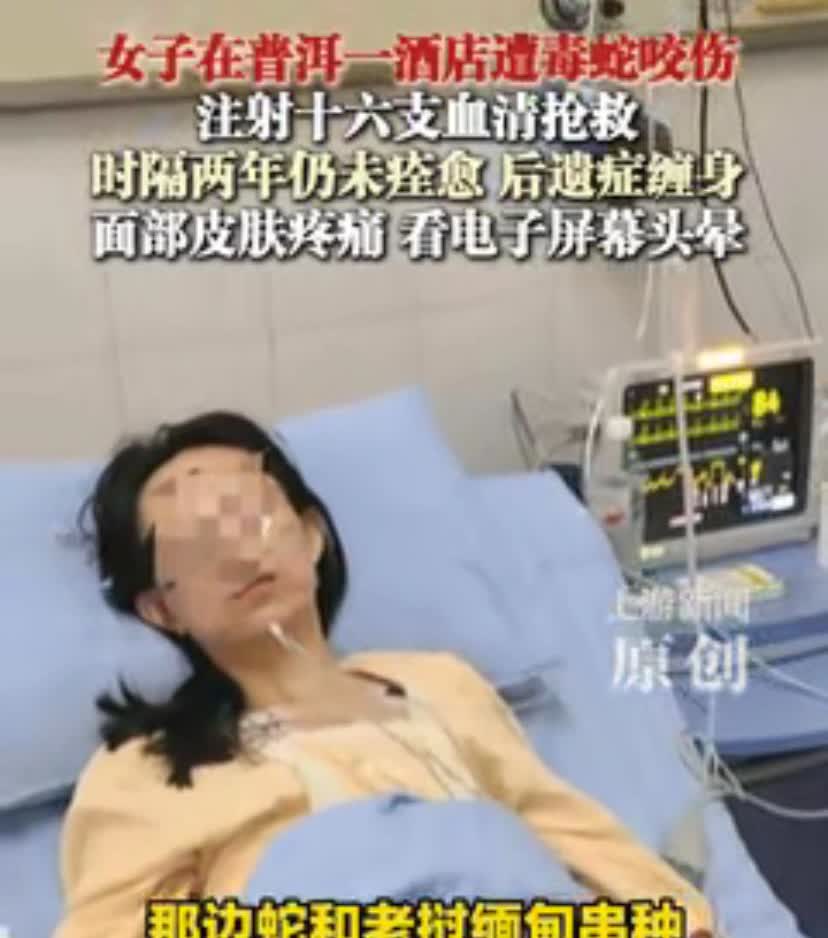 千万千万切记，去南方旅游尽量不要住森林树木草坪包围的酒店，你根本不会想到，酒店也