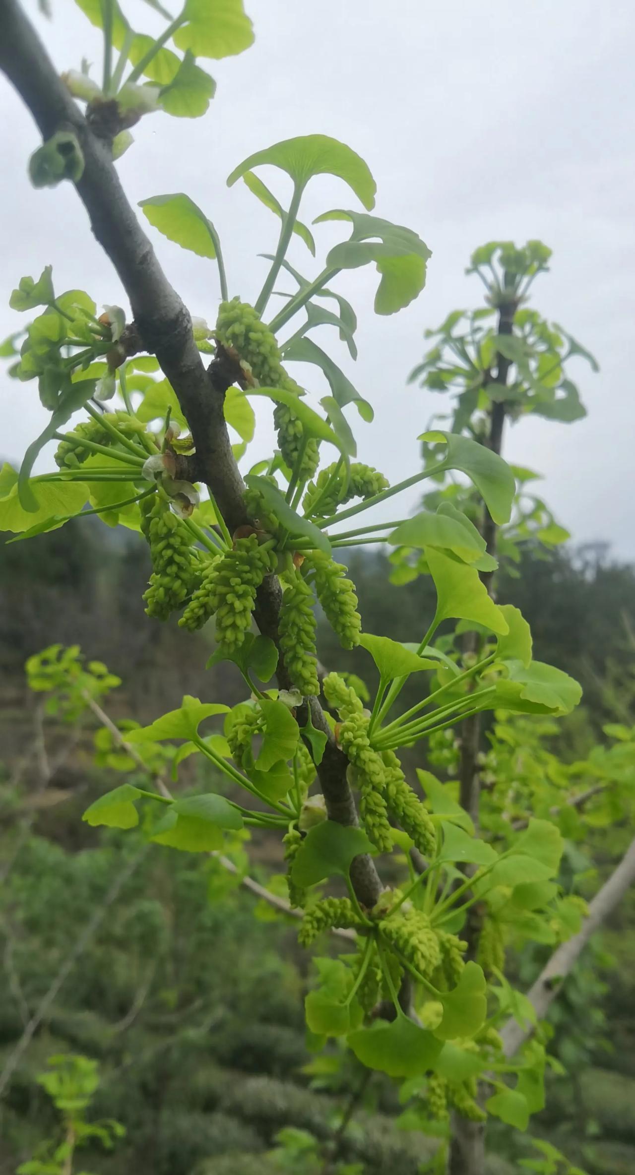 所谓无情可破全局，只要放弃掉无谓的关系，一切痛苦就结束了。很多时候，对别人的无情