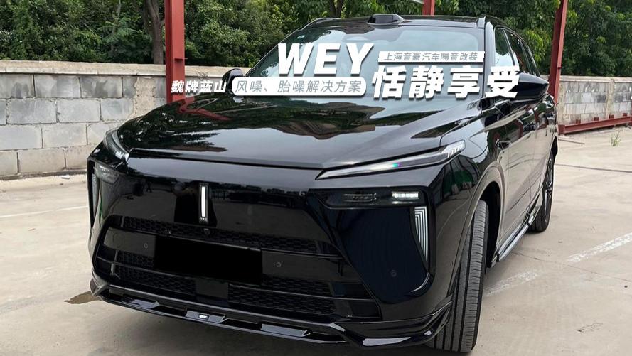 魏牌蓝山&风噪、胎噪解决方案