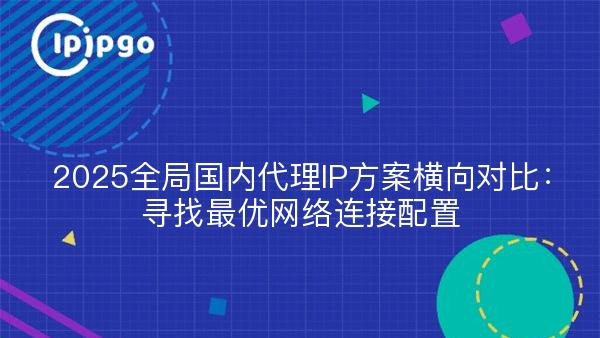 2025全局国内代理IP方案横向对比：寻找最优网络连接配置