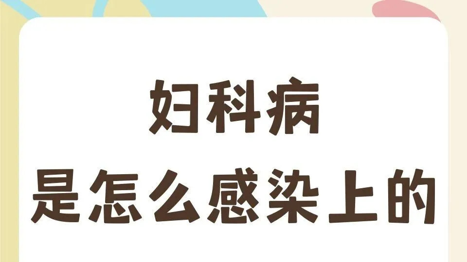 妇科疾病（盆腔炎宫颈炎阴道炎附件炎）用方