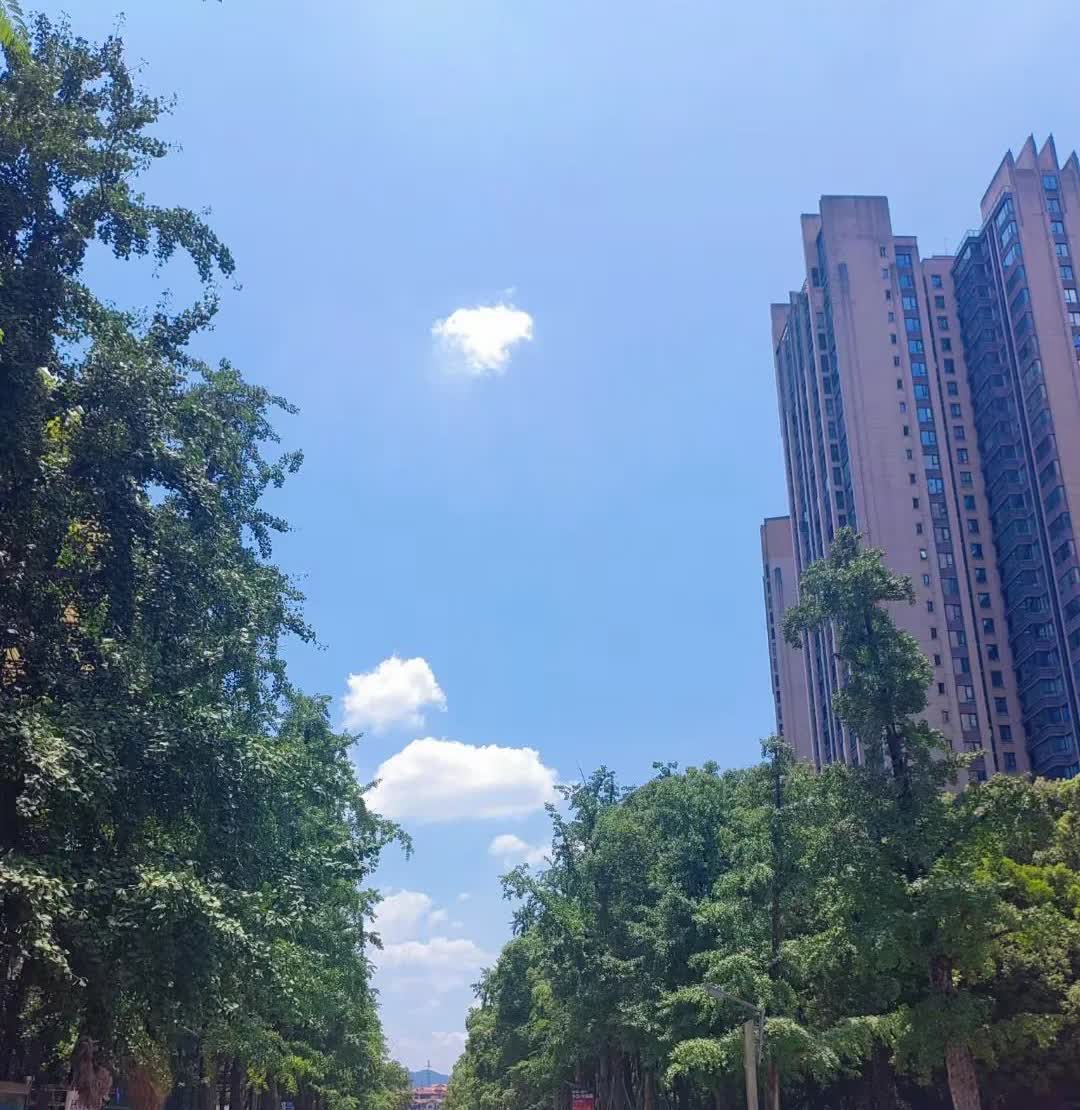 你们发现没
姊妹的不团结有可能来自于父母的偏心
王姐家四姐妹
父母一直跟大